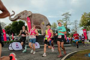 BIB: 
                            <button type="button" onclick="openModal(26529180)" class="btn btn-primary btn-sm float-right btn-popup" data-toggle="modal" data-target=".modal-high-quality">
                        <i class="fas fa-shopping-cart"></i> Add to Cart
                    </button>
                                            <button type="button" onclick="isThisMe(26529180, true)" class="btn btn-success btn-sm float-right btn-popup btn-isme hidden" data-toggle="tooltip" data-placement="bottom" title="นี่คือรูปของคุณใช่ไหม คลิกที่นี่เพื่อเอาเข้าอัลบั้ม">
                        <i class="fas fa-plus"></i> Add to album
                    </button>
                    <button type="button" onclick="isThisMe(26529180, false)" class="btn btn-warning btn-sm float-right btn-popup btn-isnotme hidden">
                        <i class="fas fa-ban"></i> Remove from album
                    </button>